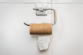 What to Do When You Run Out of Toilet Paper - What Can You Flush?